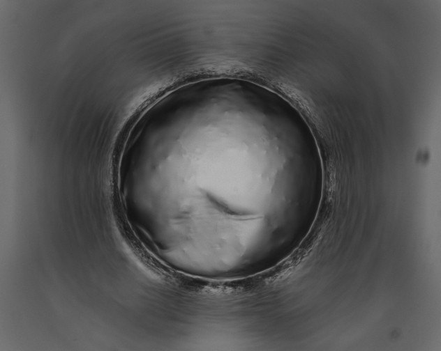 X0000091100630200708271317