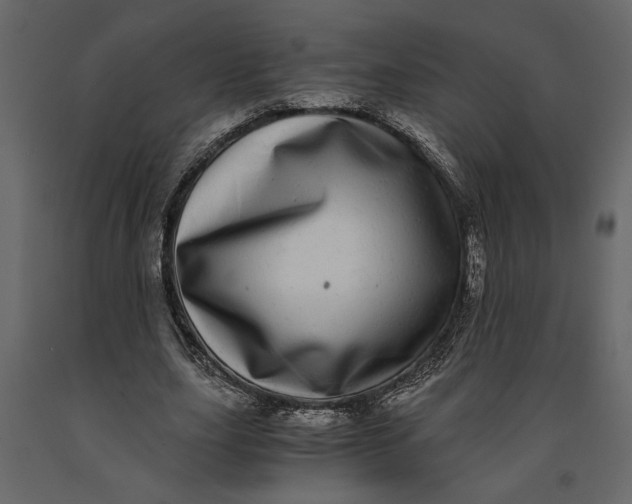 X0000091100631200708271317