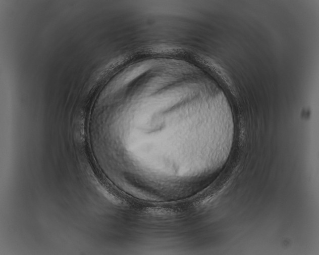 X0000091100633200708271317