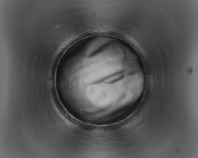 X0000091100634200708271317