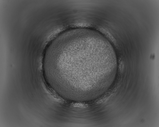 X0000091100635200708271317