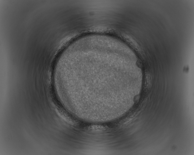 X0000091100636200708271317