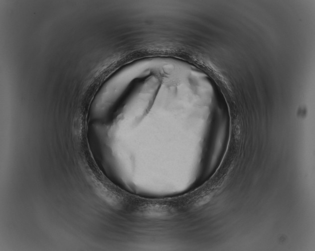 X0000091100637200708271317