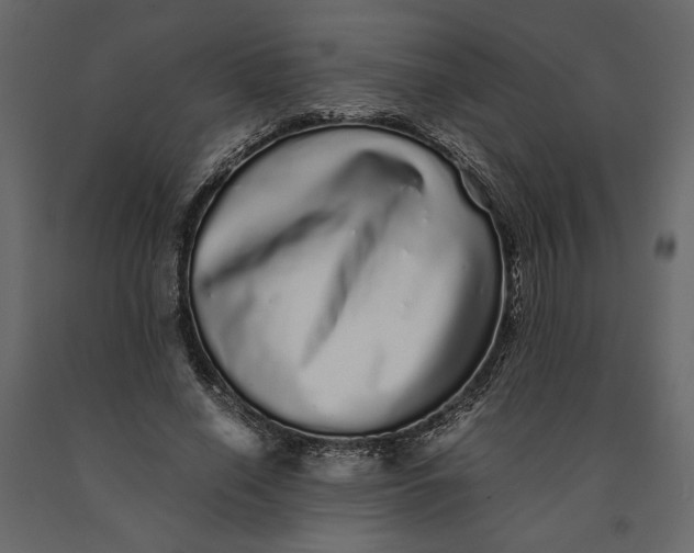 X0000091100638200708271317