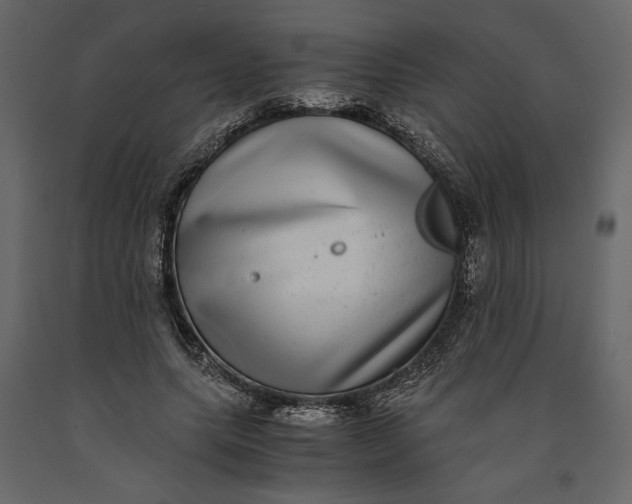 X0000091100639200708271317