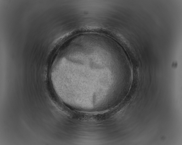 X0000091100640200708271317