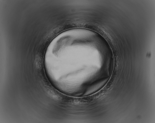 X0000091100641200708271317