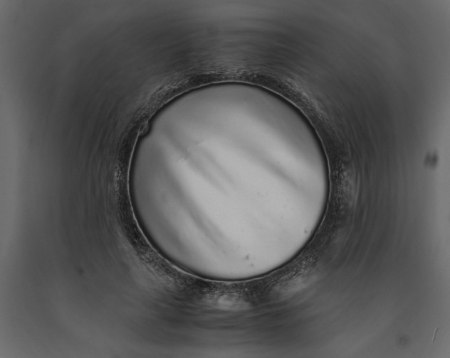 X0000091100643200708271317