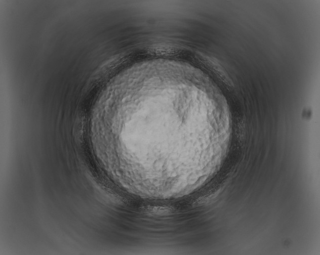 X0000091100645200708271317