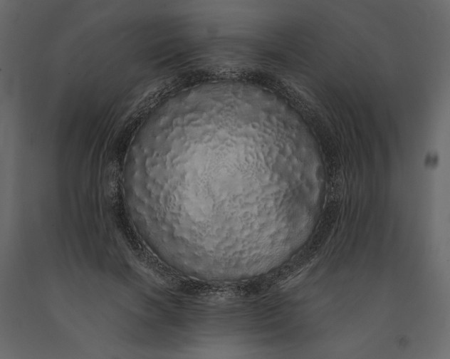 X0000091100646200708271317