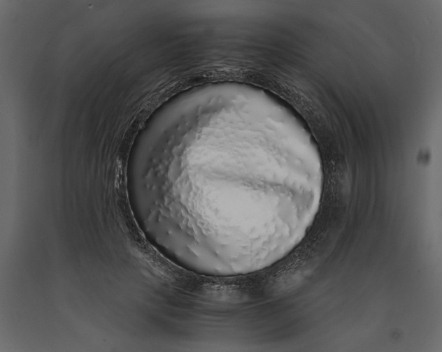 X0000091100649200708271317