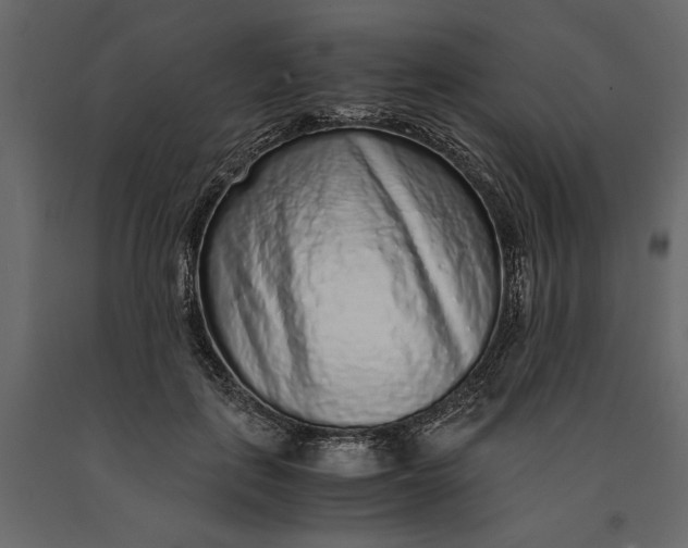 X0000091100651200708271317