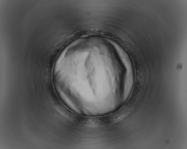 X0000091100654200708271317