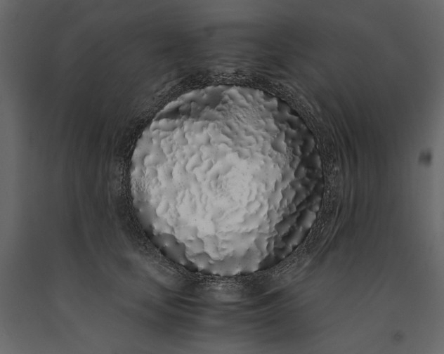 X0000091100659200708271317