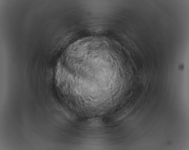 X0000091100660200708271317