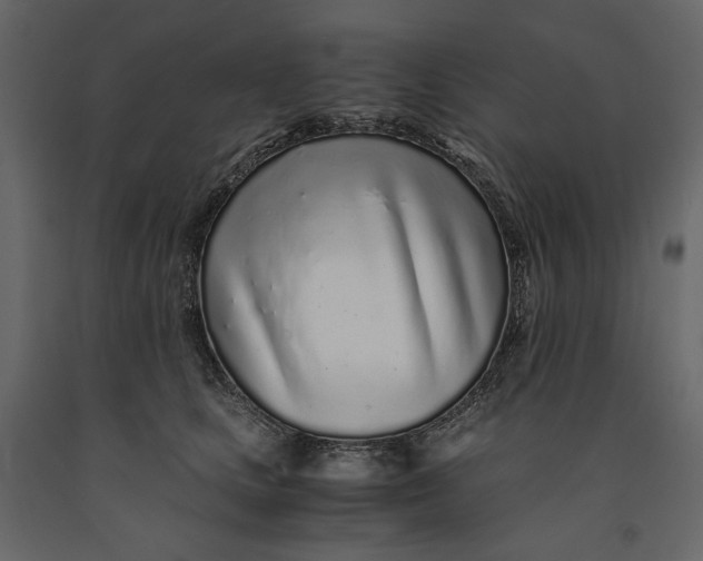 X0000091100661200708271317