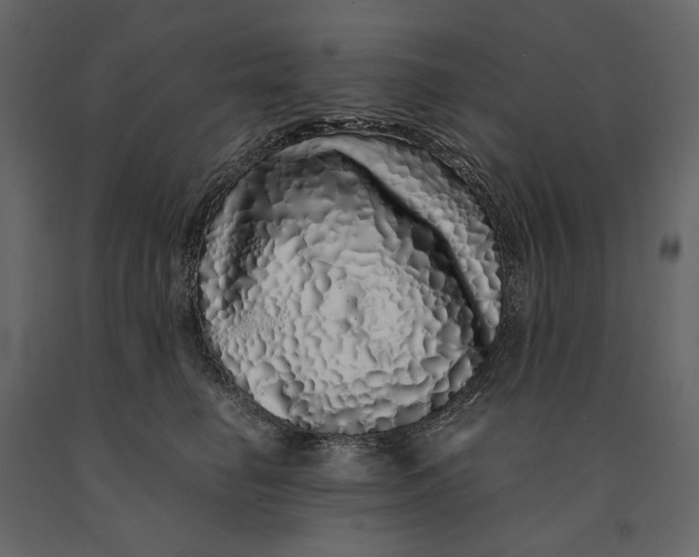 X0000091100662200708271317