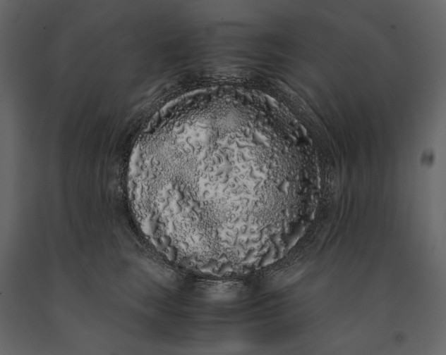 X0000091100663200708271317