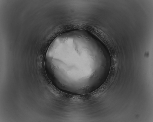 X0000091100664200708271317