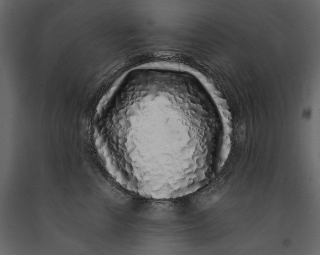 X0000091100666200708271317