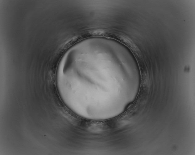 X0000091100669200708271317