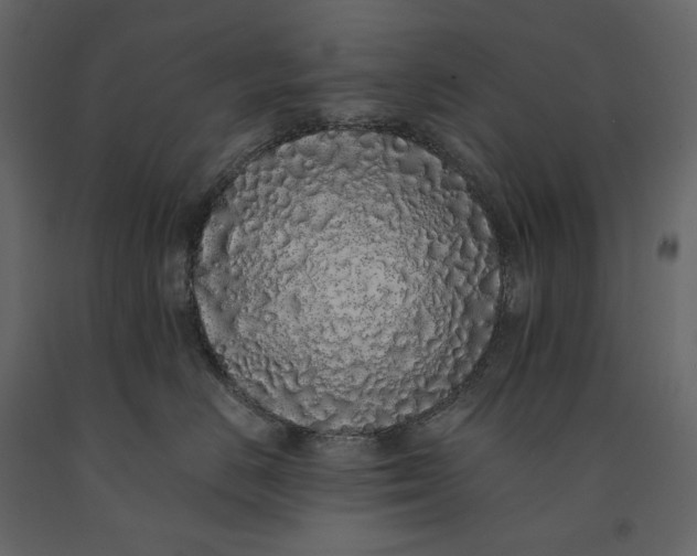 X0000091100670200708271317