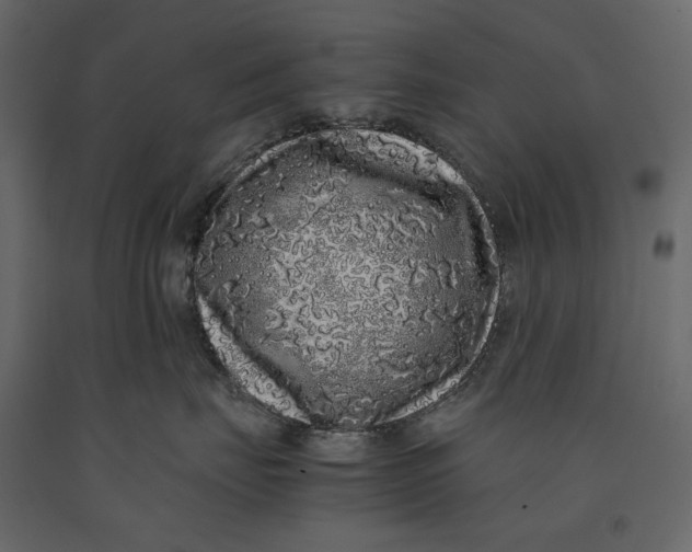 X0000091100671200708271317