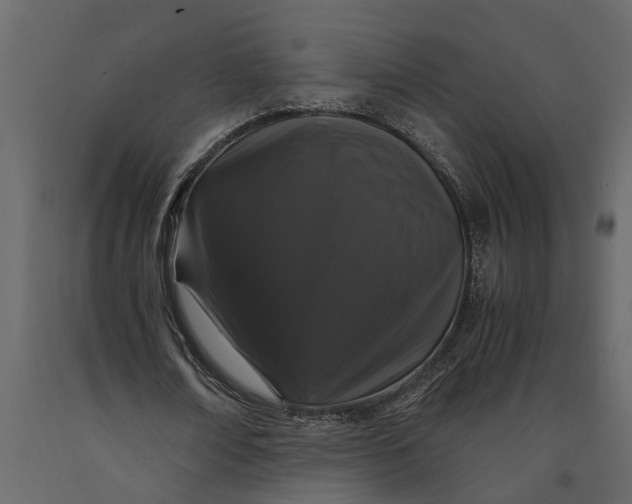 X0000091100674200708271317