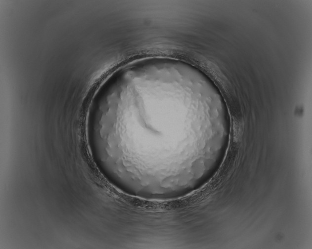 X0000091100675200708271317