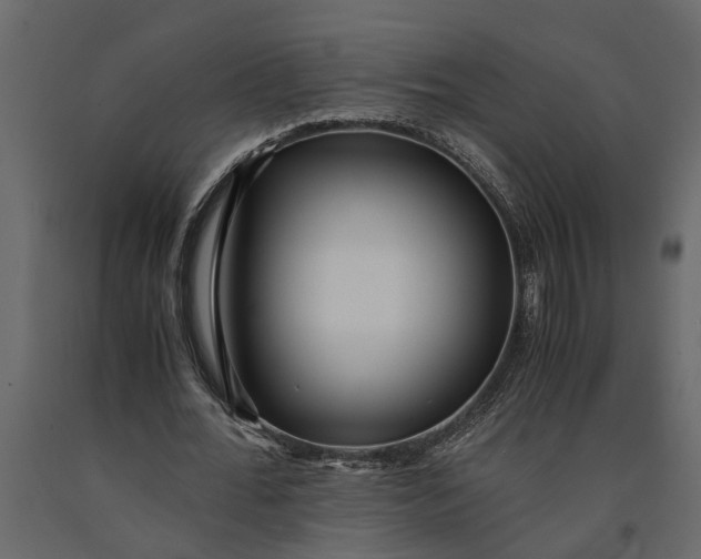 X0000091100676200708271317