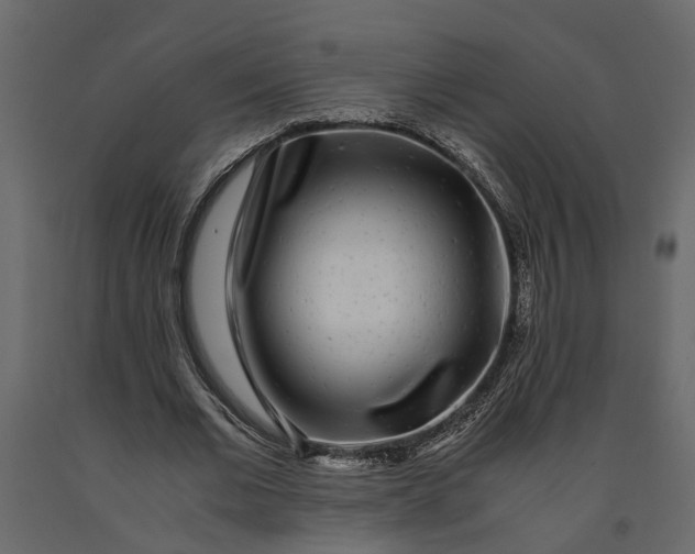 X0000091100677200708271317