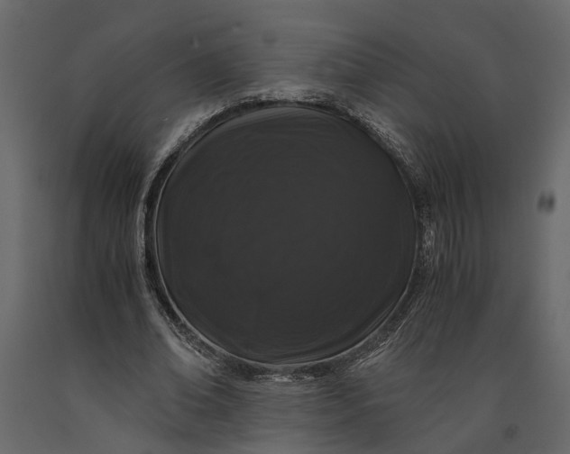 X0000091100678200708271317