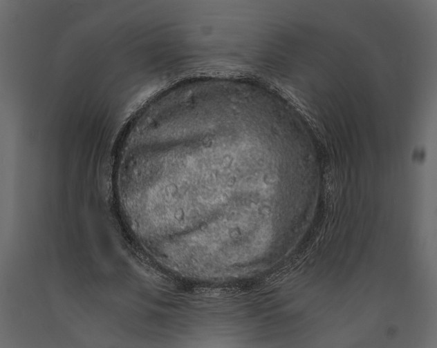 X0000091100679200708271317