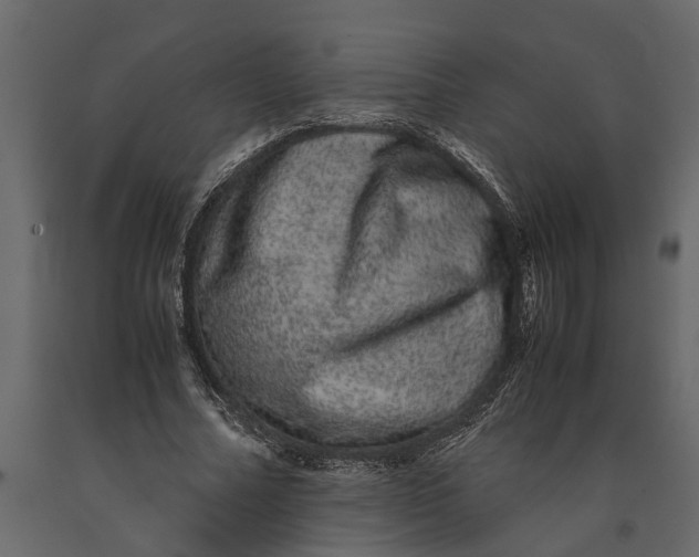 X0000091100682200708271317