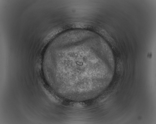 X0000091100683200708271317