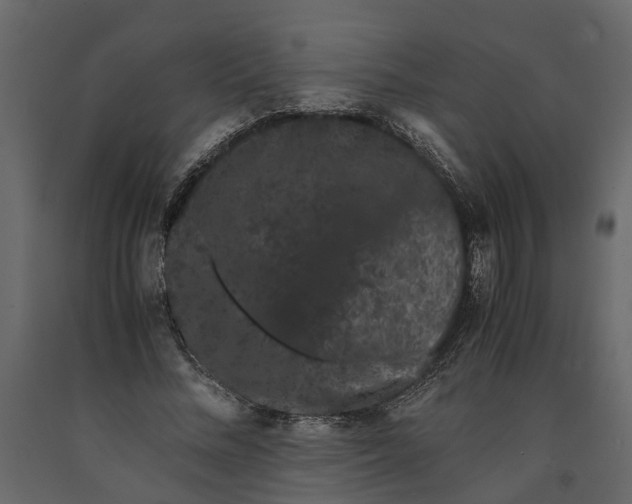 X0000091100684200708271317