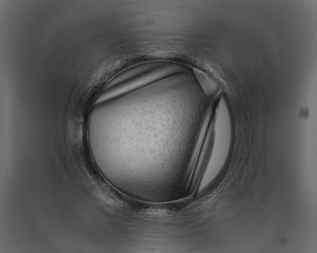 X0000091100685200708271317