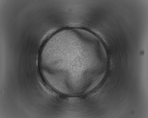 X0000091100686200708271317