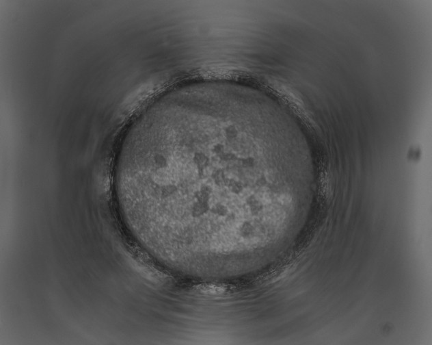 X0000091100687200708271317