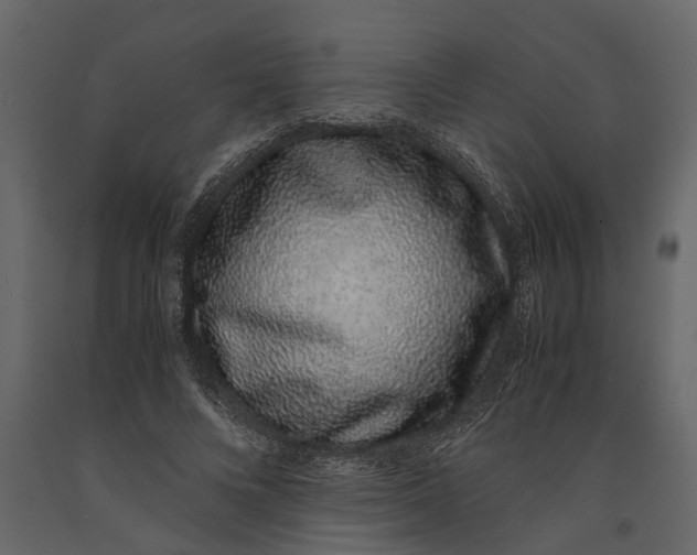 X0000091100688200708271317