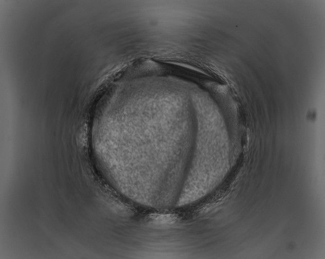 X0000091100689200708271317