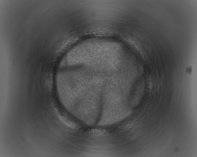 X0000091100690200708271317