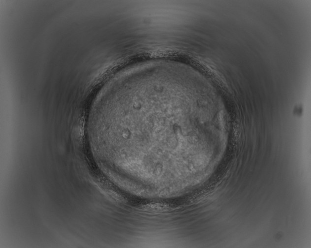 X0000091100691200708271317