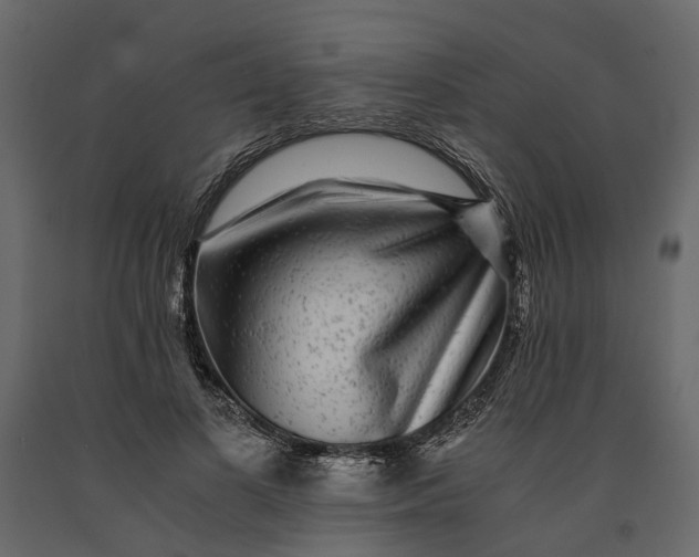 X0000091100693200708271317