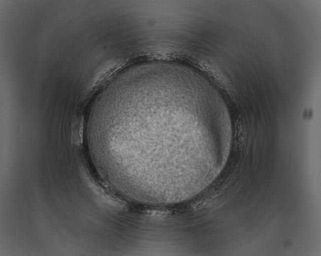 X0000091100694200708271317