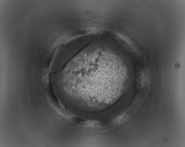 X0000091100696200708271317