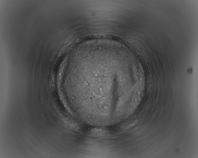 X0000091100699200708271317