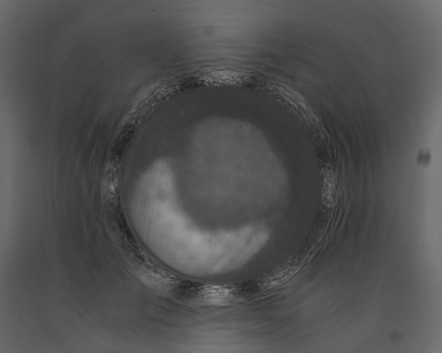 X0000091100701200708271317