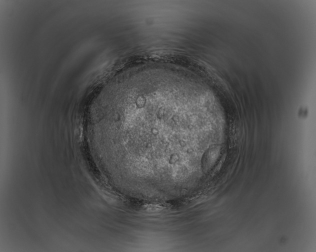 X0000091100703200708271316