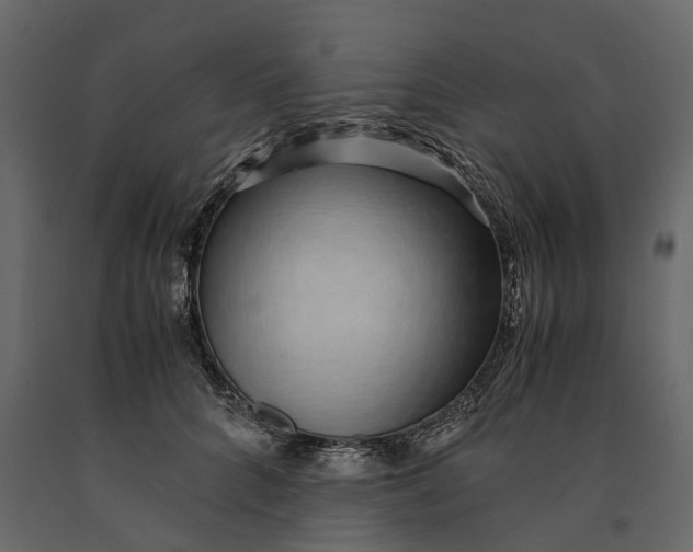 X0000091100704200708271316